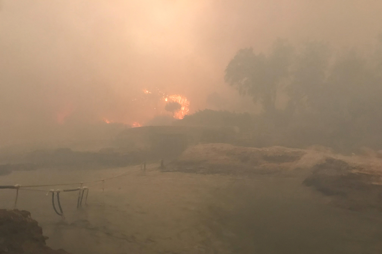 A scene of a forest fire in the distance